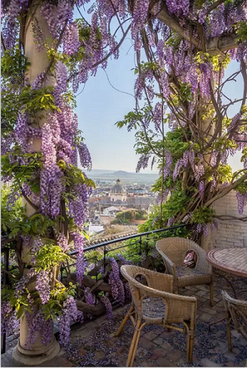 22104002d7137279af0639.png QQ圖片20161122103018.png