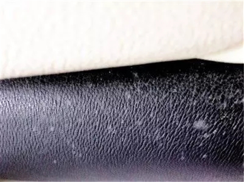 16141648a78d298cce5638.jpg h500w373-5a992e510a63f.jpg