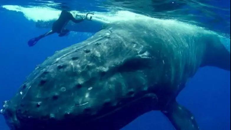 22111333b152b43d293286.jpg 22111333b152b43d293286.jpg