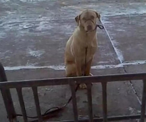 2211162791ed64c9bd6765.jpg 2.jpg