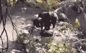 2211203847fa42919b4552.gif 8.gif