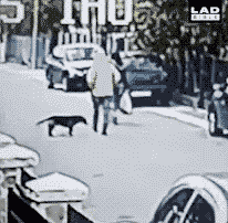 2211281655d7dbeba78596.gif 11.gif