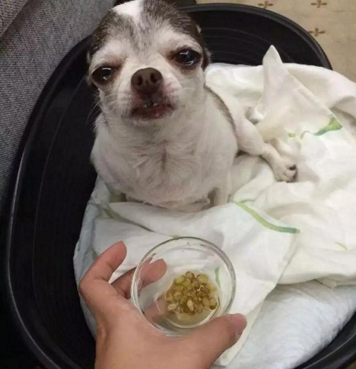 22112916d5958cff346936.jpg 9.jpg