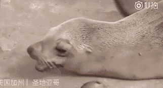 22113658c770d71d5c0880.gif 14.gif