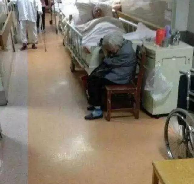 22113723f2cfcc76d23989.jpg 22113723f2cfcc76d23989.jpg