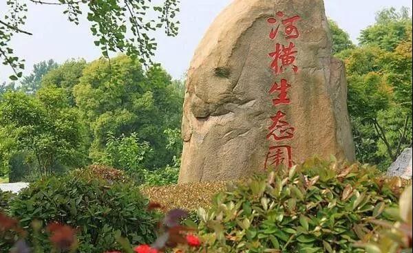 18101721e677be14eb9911.jpg 9.jpg