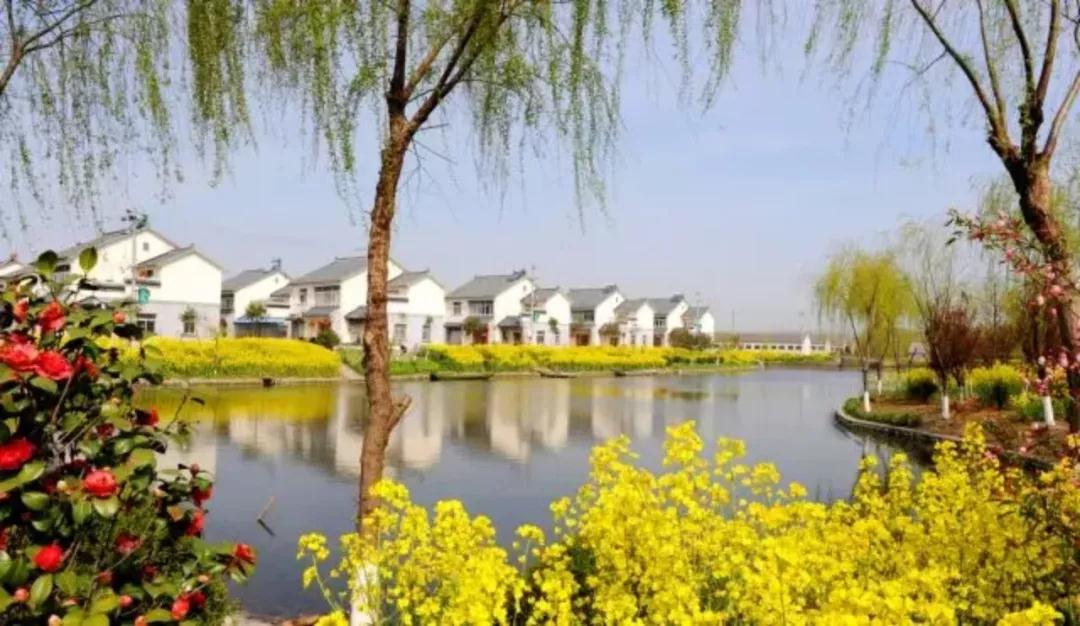 18101724e08289319f0601.jpg 18101724e08289319f0601.jpg