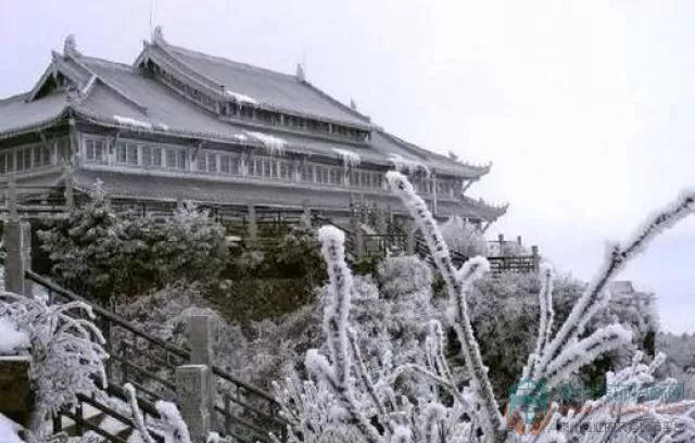 19101817b921b6ccfd3911.jpg 1.jpg