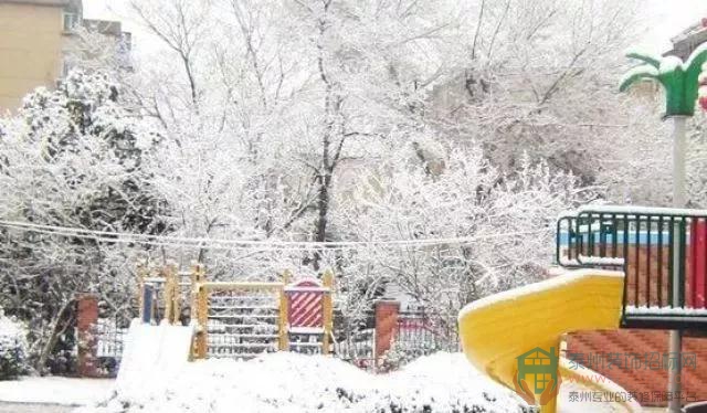 19102100685fdf45b57665.jpg 3.jpg