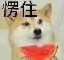 06113935ab5de172f82806.jpg 8.jpg