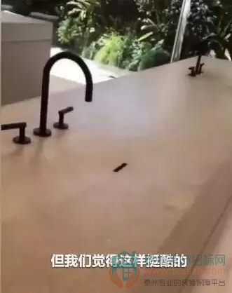 06115601f42004af199131.jpg 44.jpg