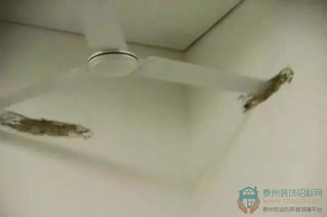 0716013291a83ffed35718.jpg 3-拷貝.jpg