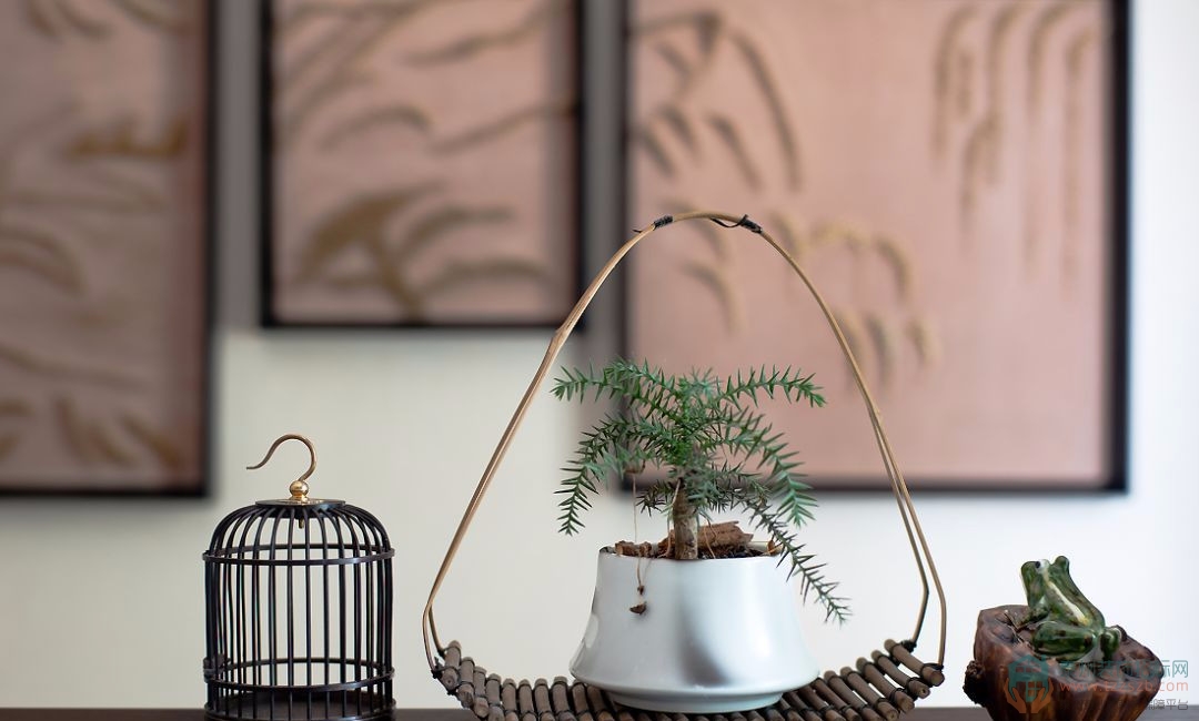 191650013bf04d7eec6921.jpg 12.jpg