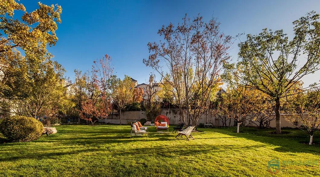 29152048246a15160a3025.jpg 2.jpg