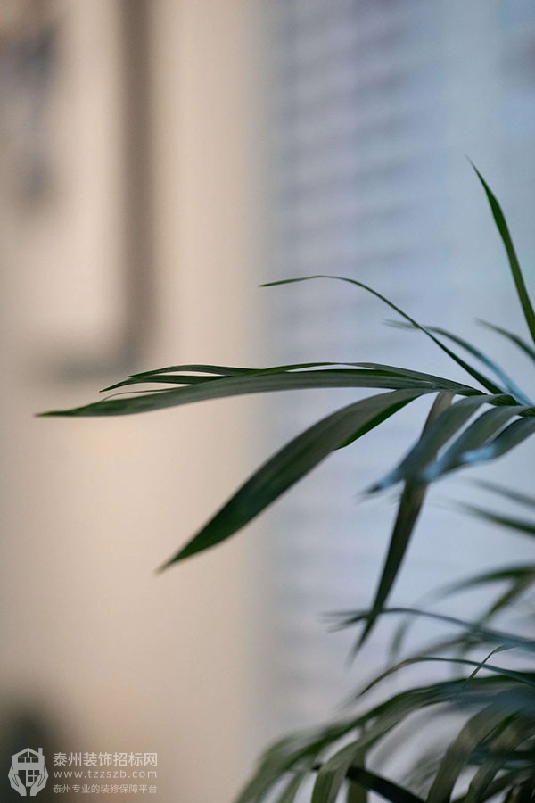 18095201ea17b4cb0b0783.jpg 1.jpg