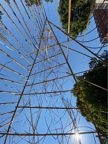 23103404fbf027cc215003.jpg 9.jpg