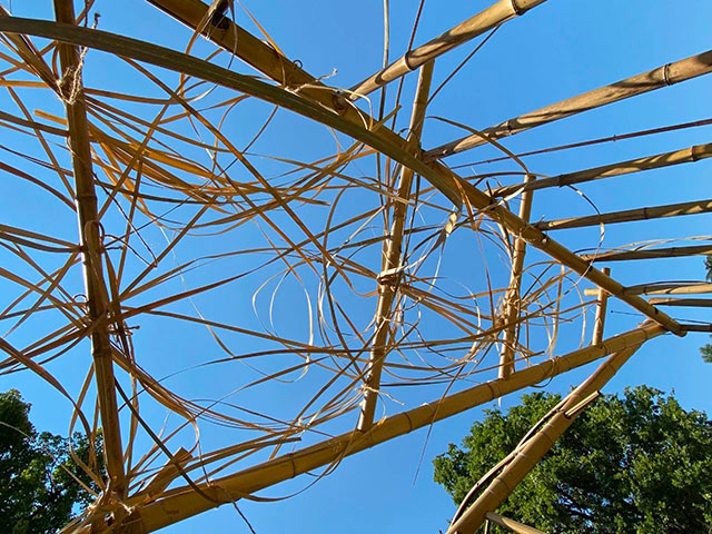 23103417c78e1dbc5a4605.jpg 11.jpg