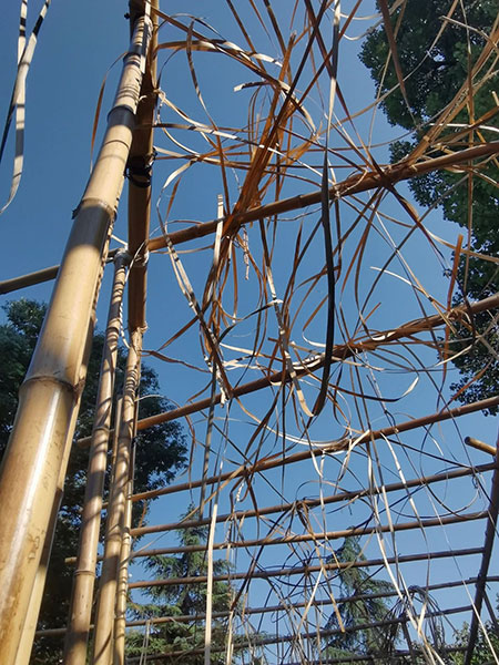 23103423b58cfeb3cd1045.jpg 12.jpg