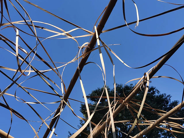 2310343897fd5b04638585.jpg 14.jpg